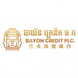Microfinance Institution Bayon Credit PLC