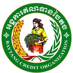 Baytang Credit Organization (B.C.O)