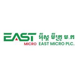 EAST MICRO PLC.